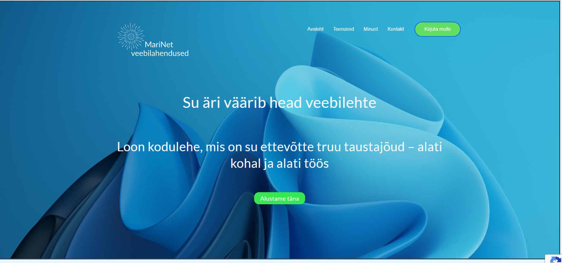 WordPress kodulehe näide teenusepakkujale MariNet veebilahendused